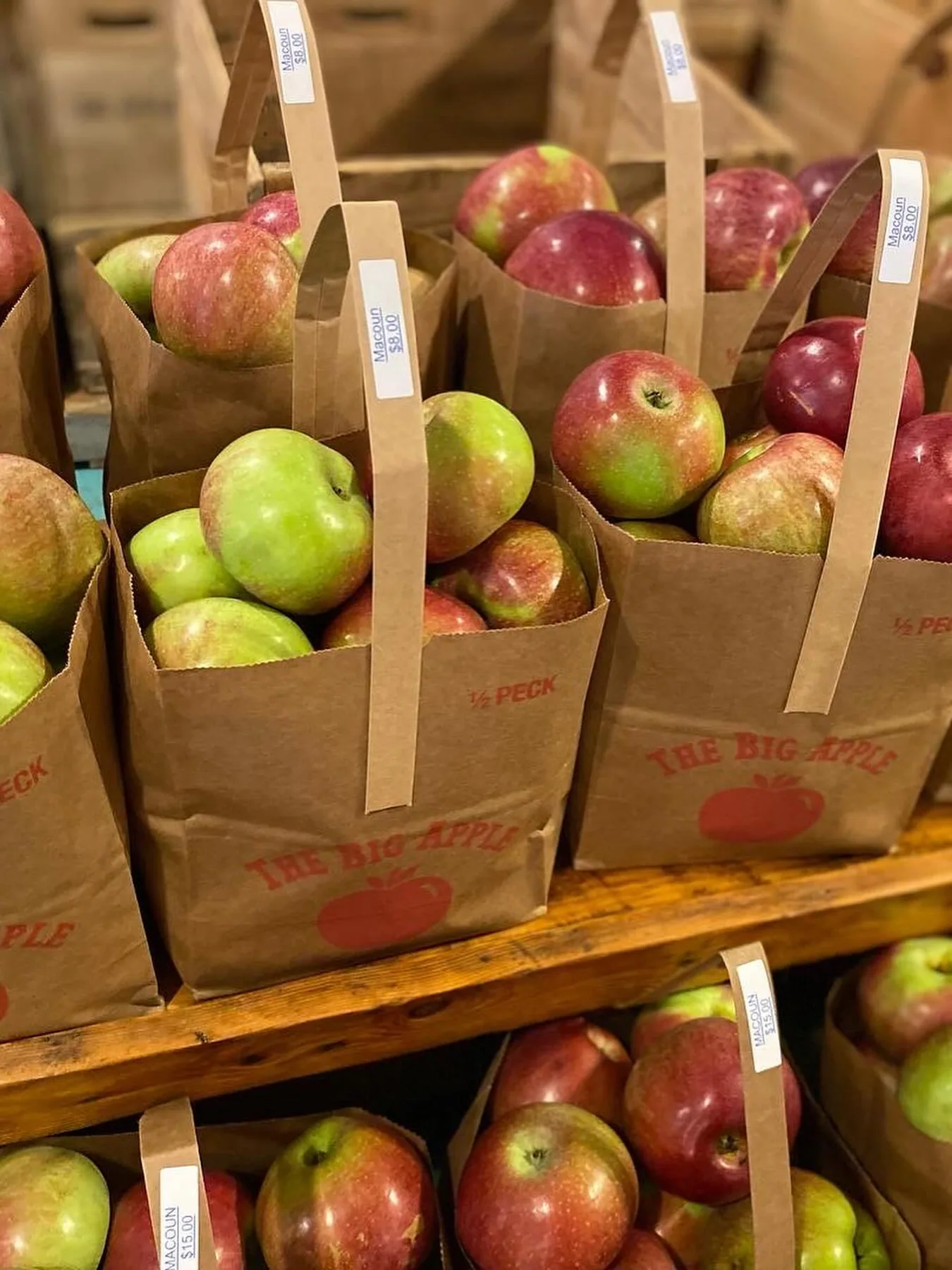Dense cluster of red apples on a tree for New Hampshire orchard planning.