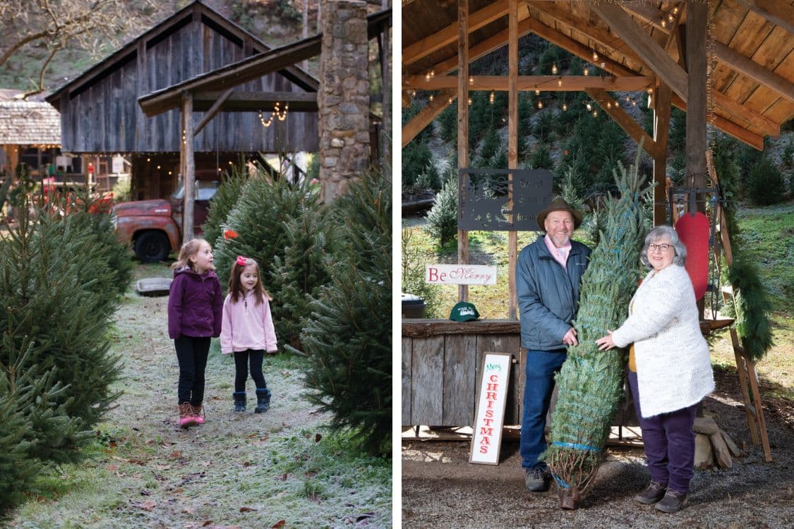 Family netting a Christmas tree at a Rhode Island winter farm stop.