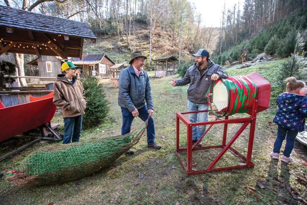 Families walking Christmas tree farm rows in Massachusetts.