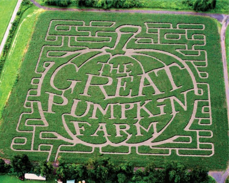 Aerial view of a corn maze field for New Hampshire pumpkin patch planning.