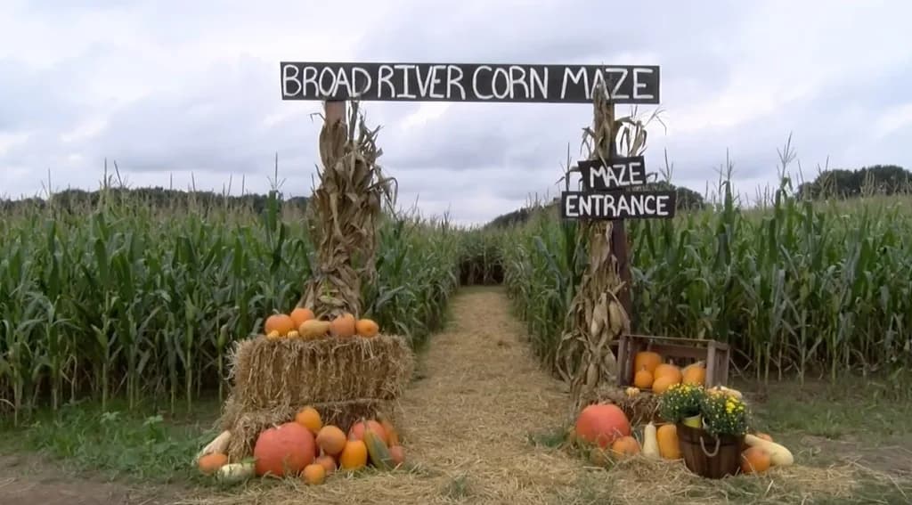 Straw-lined corn maze entrance with pumpkins for Massachusetts fall outings.