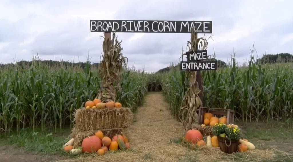 Straw-lined corn maze entrance with pumpkins for Maine fall outings.