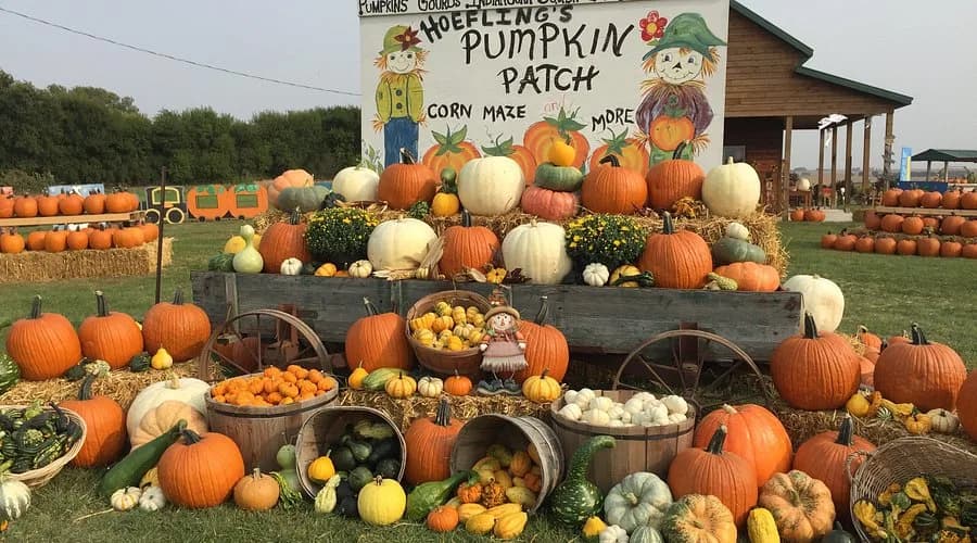 Pumpkin wagon display at a Maine fall farm market.