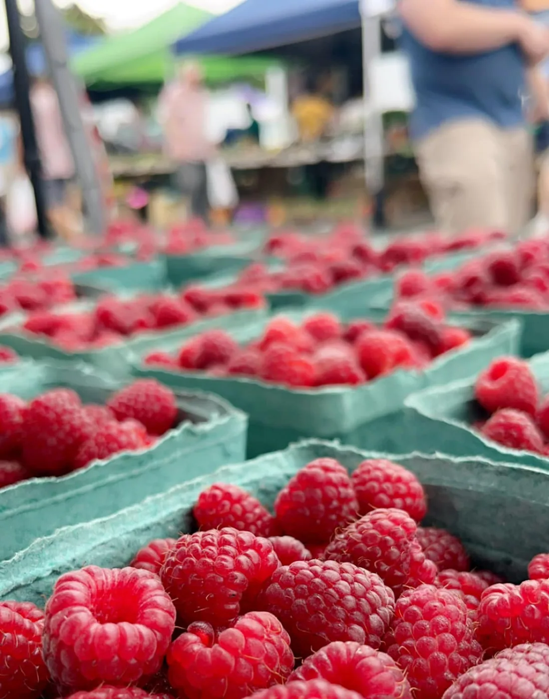 Close-up of raspberry pints at a farmers market after Rhode Island berry harvest.