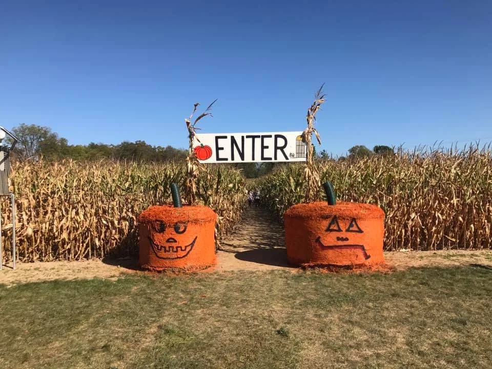 Roadside pumpkin honor box display for quick Connecticut farm stops.