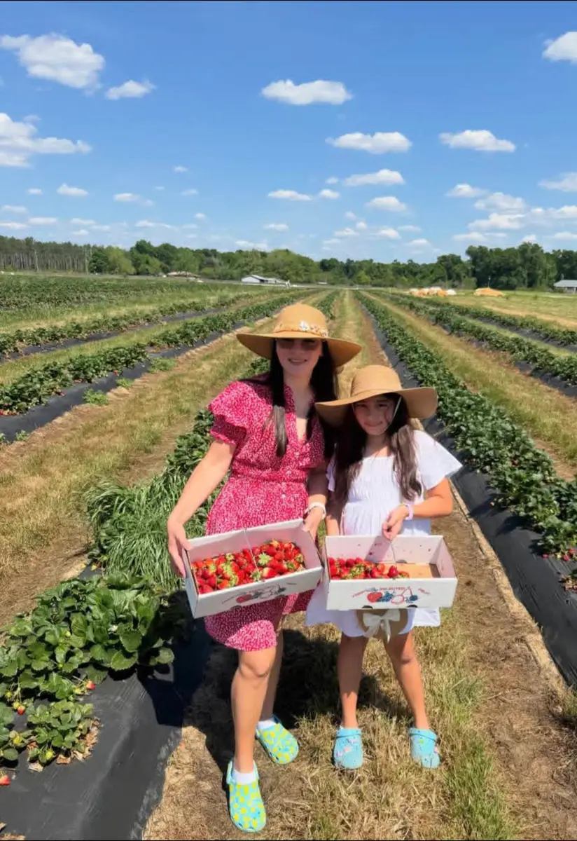 Family picking strawberries in a u-pick field for a Connecticut strawberry picking guide.