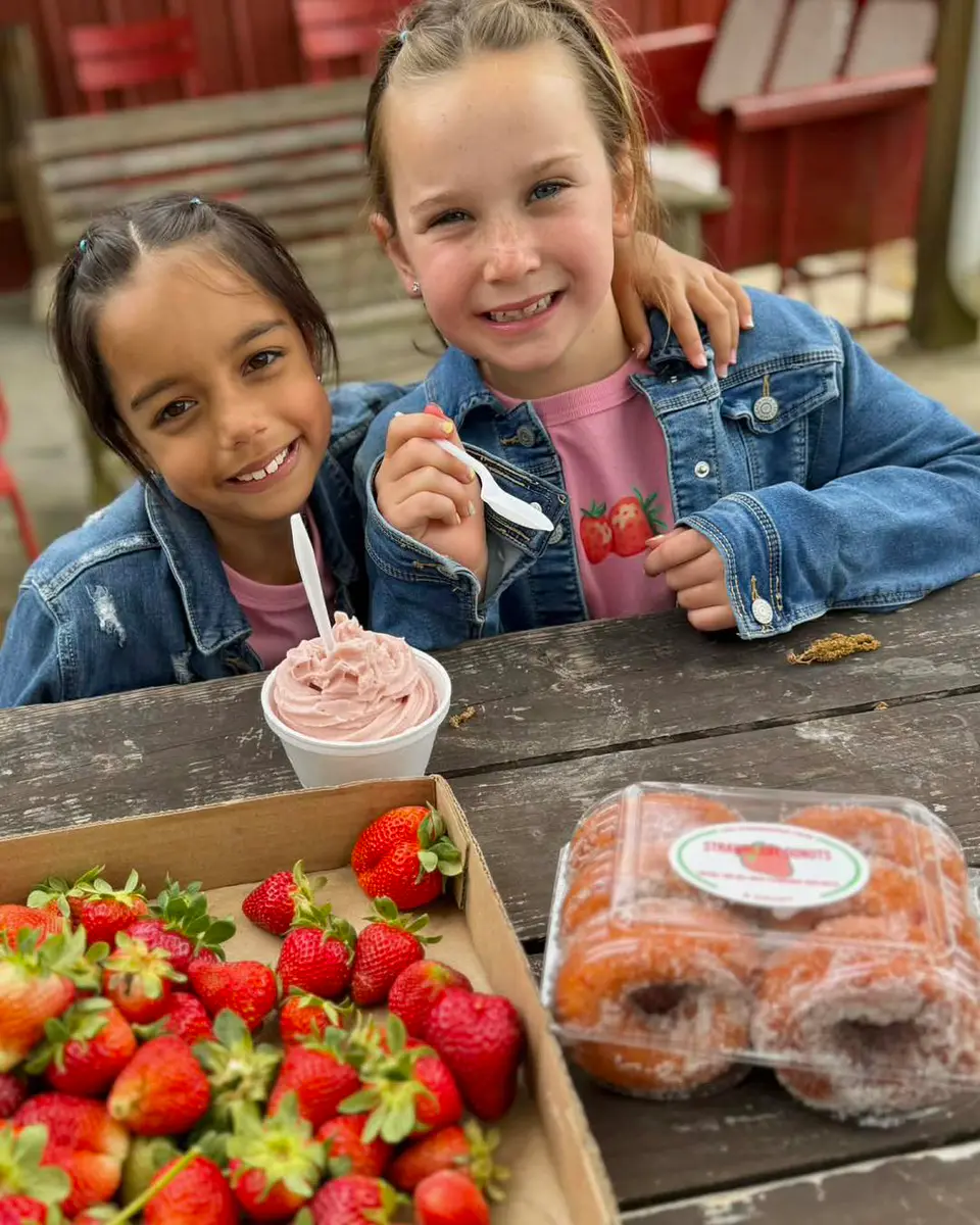 Fresh strawberries and farm treats after strawberry picking in Maine.