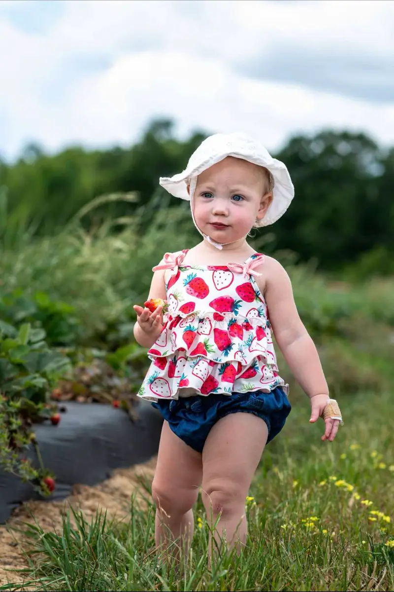 Young child in a strawberry field for family-friendly strawberry picking in Connecticut.