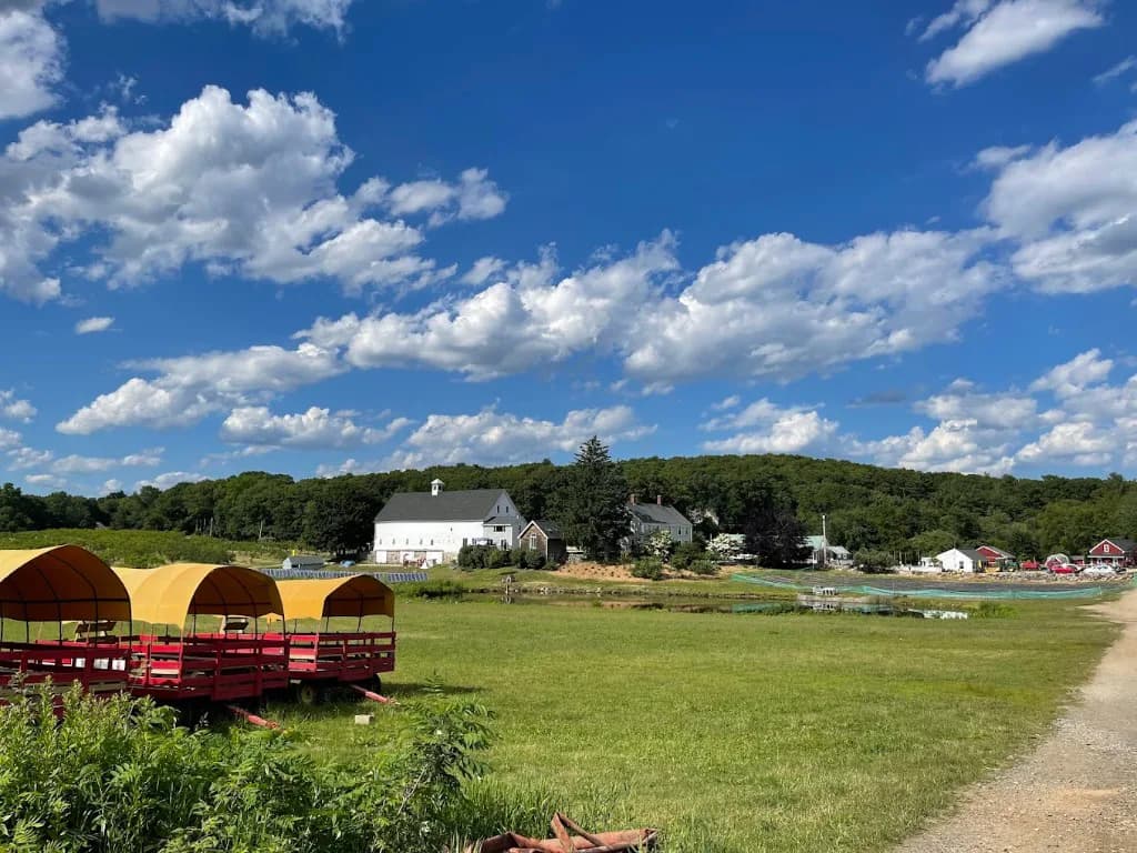 Seasonal farm scene for Farm Day Trips From Boston: Orchards, Animals, Flowers, and Farm Stores Within a Short Drive.