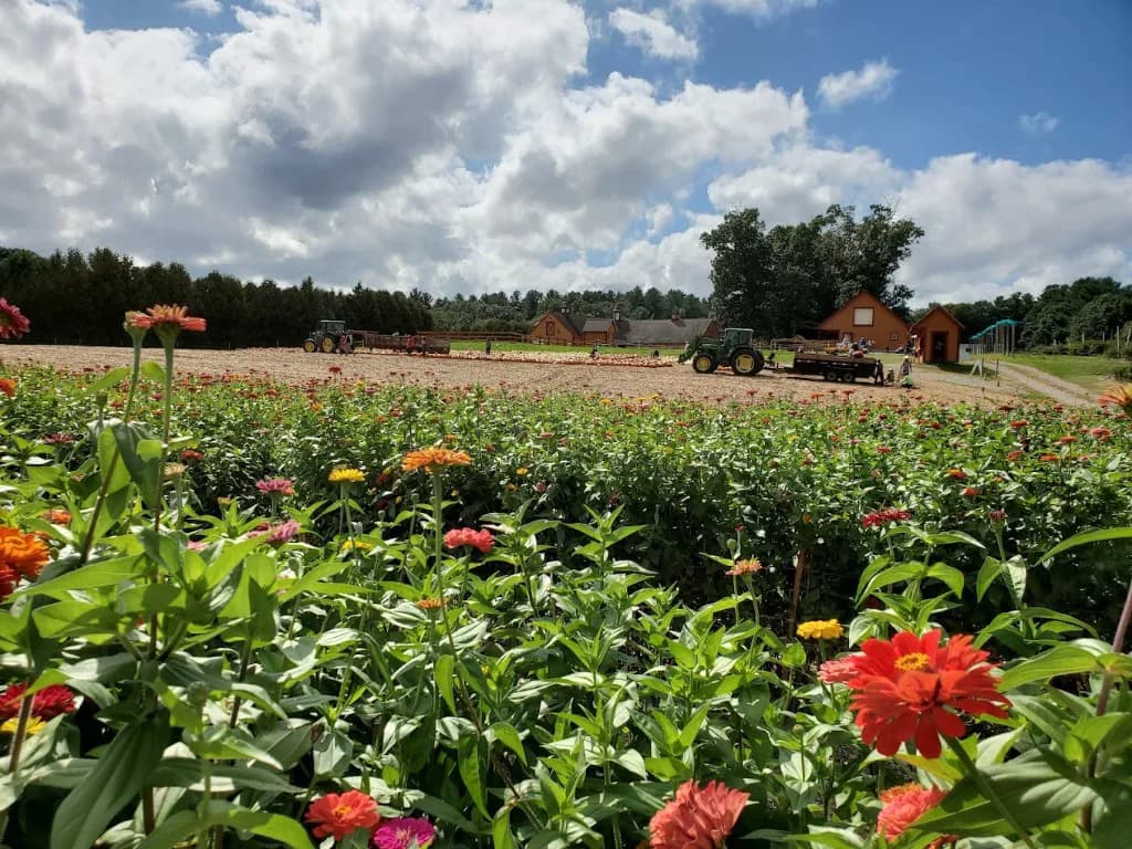 Seasonal farm scene for Farms Near Dover and Rochester: Seacoast Farm Stands, Berry Fields, and Easy Local Food Stops.