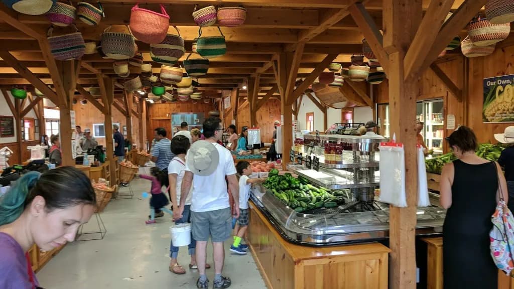 Seasonal farm scene for Farm Stands That Take SNAP and EBT in New England: Fresh Produce, HIP, and Local Food Access.