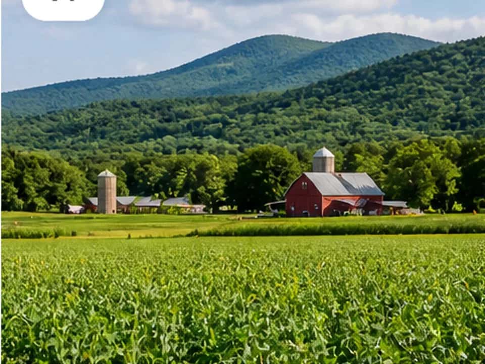 Thibodeaus Achen Bacon Farm in Lyman, ME
