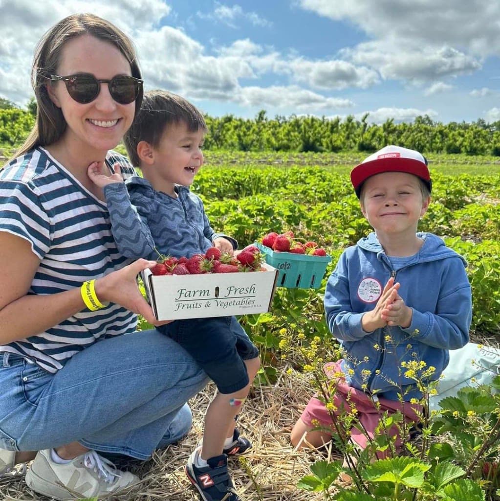 Family picking strawberries together in a Massachusetts PYO field.