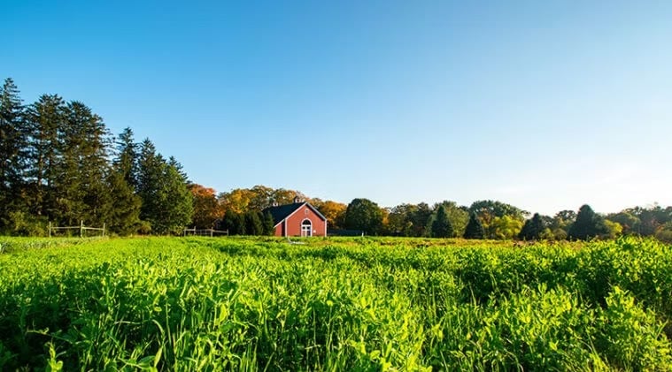 Knoll Farm in Waitsfield, Vermont