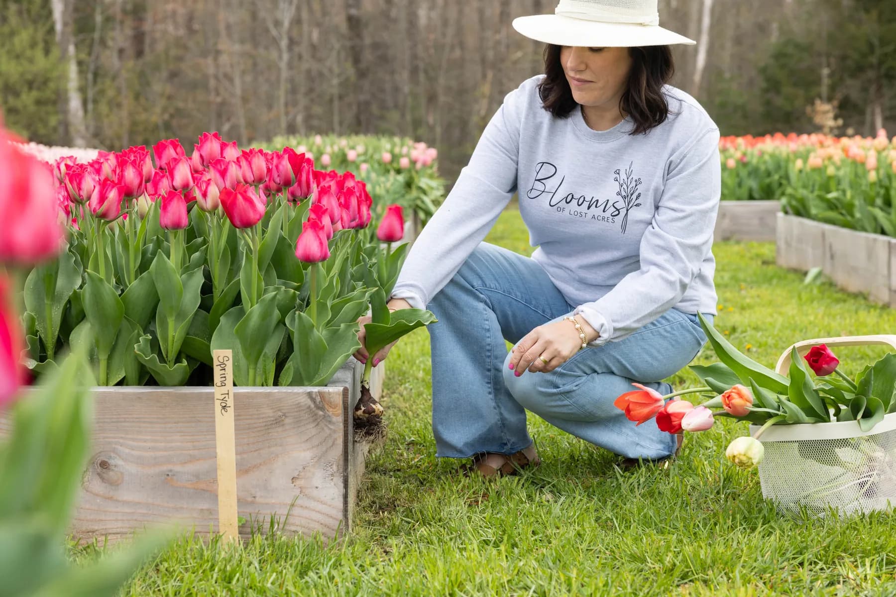 Farm photography at Blooms of Lost Acres, North Granby, Connecticut.