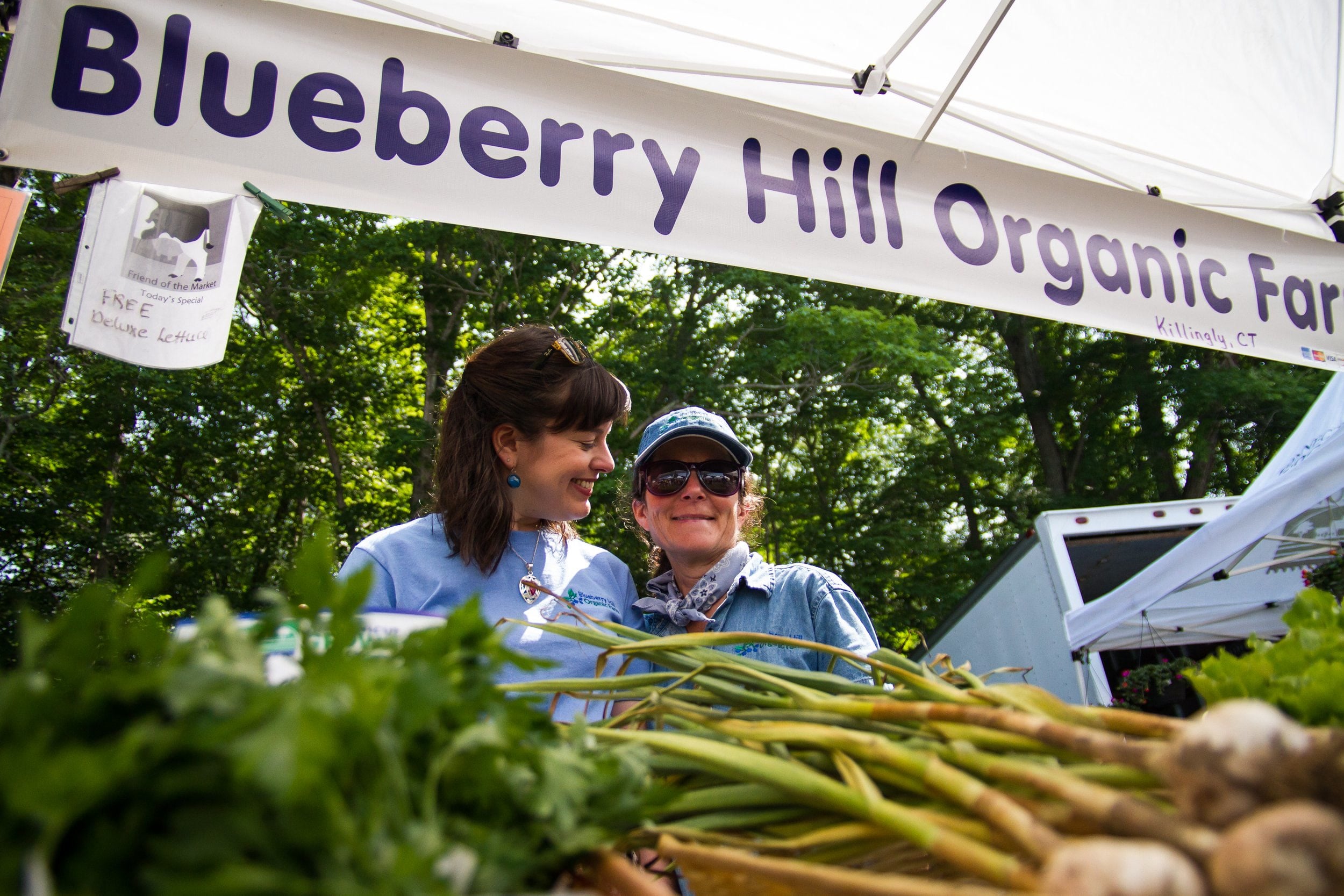 Blueberry Intervale in Preston, Connecticut