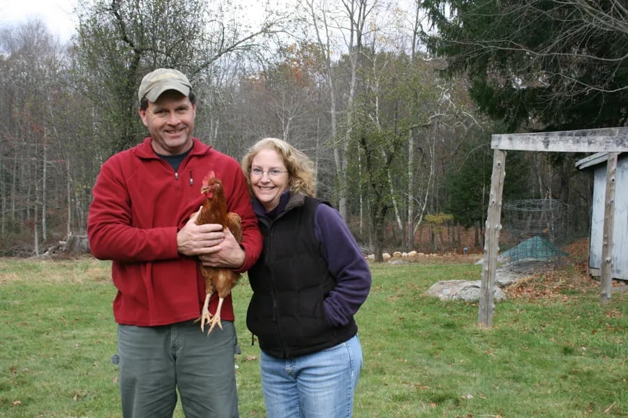 Farm photography at Cranberry Hill Farm, Ashford, Connecticut.
