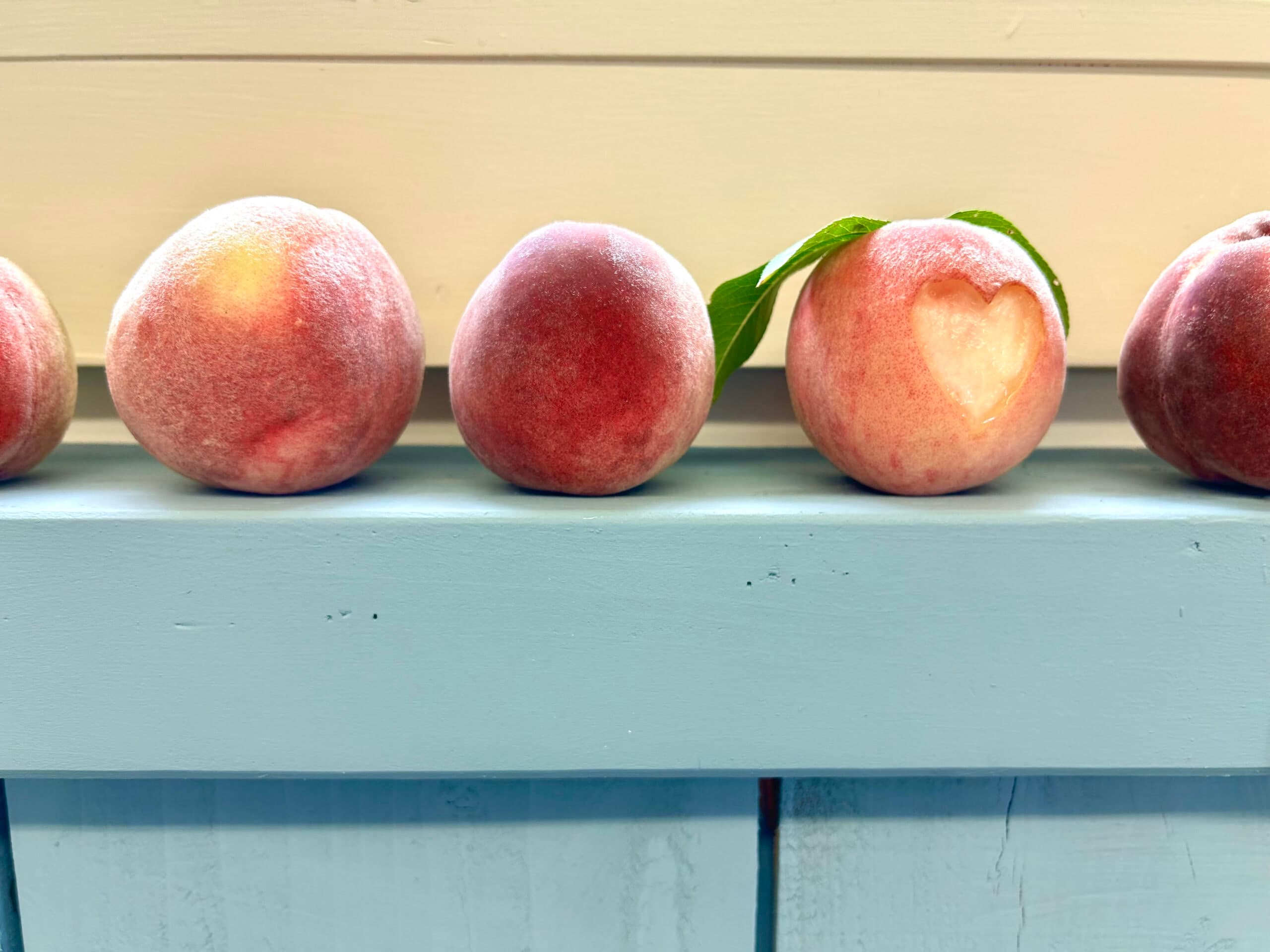 Crookes Orchard in Ashford, Connecticut
