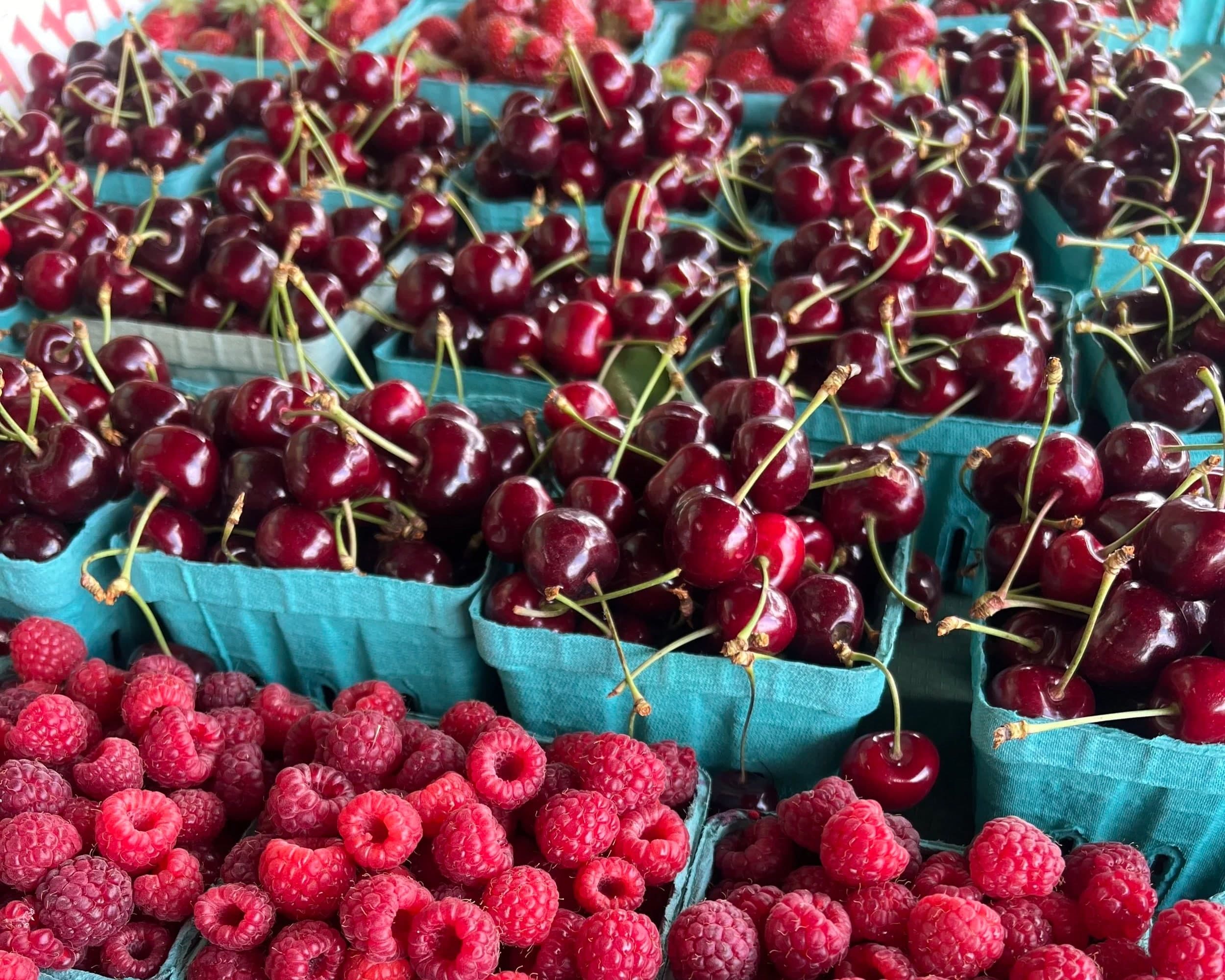 Dondero Orchards in South Glastonbury, Connecticut