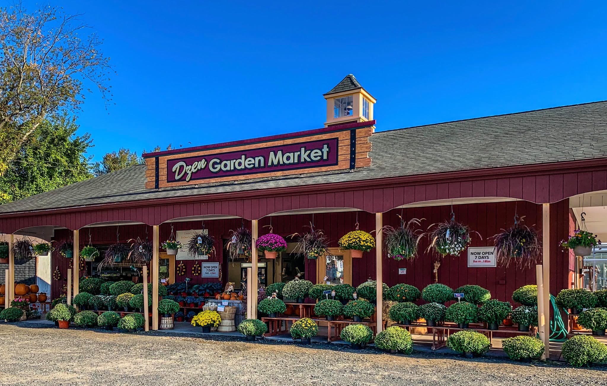 Dzen Farms Berry Fields in Broad Brook, Connecticut