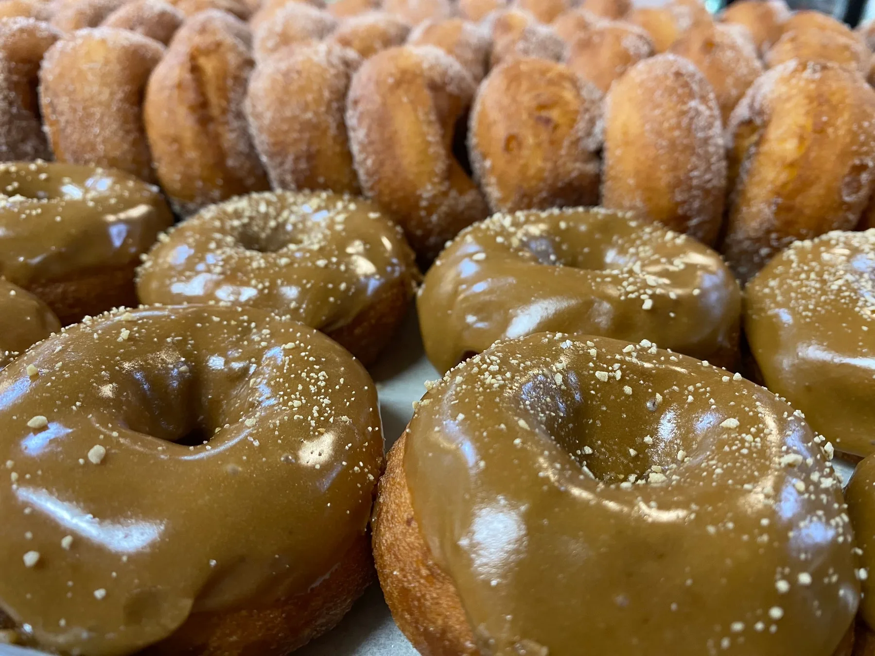 Freund's Farm Market & Bakery in East Canaan, Connecticut