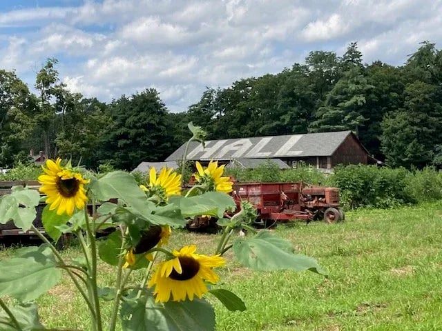 Farm photography at George Hall Farm, Simsbury, Connecticut.