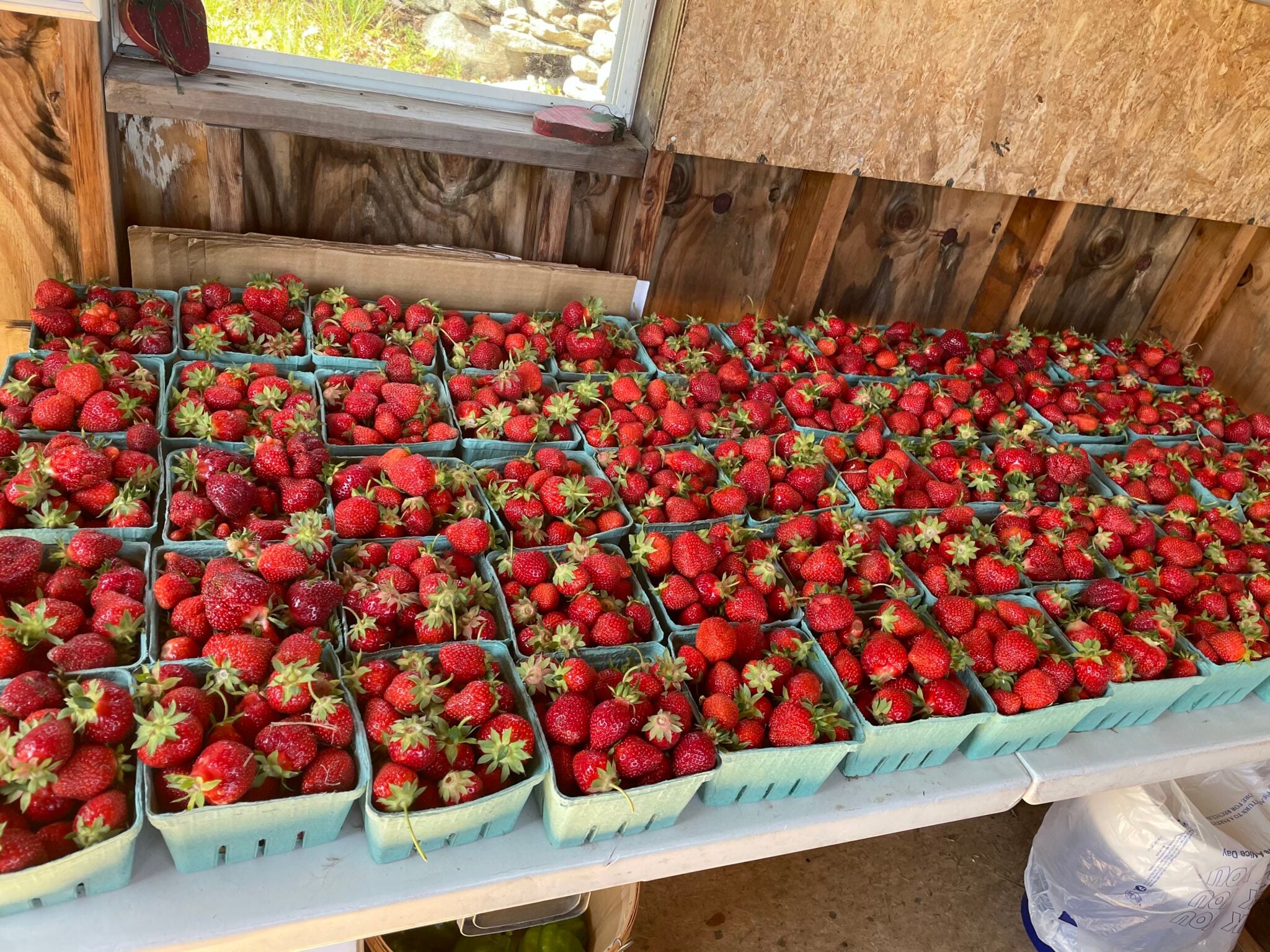 Grant's Berry Patch in Lisbon, Connecticut