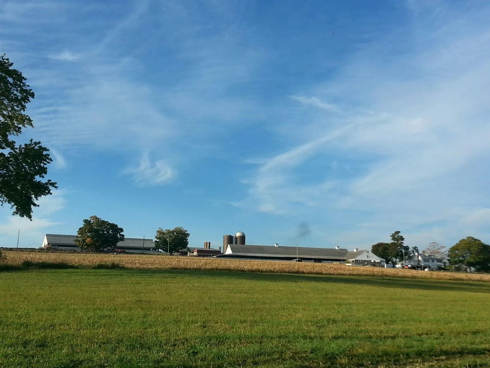 Farm photography at Mountain Dairy Creamery, Mansfield, Connecticut.