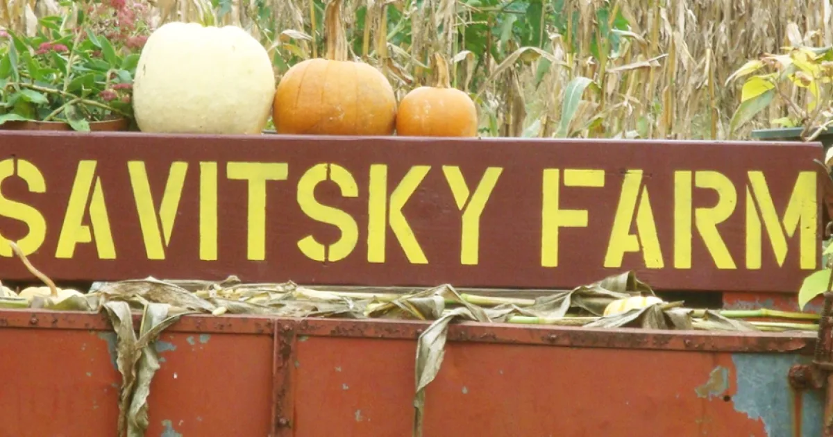 Farm photography at Savitsky Farm, Colchester, Connecticut.