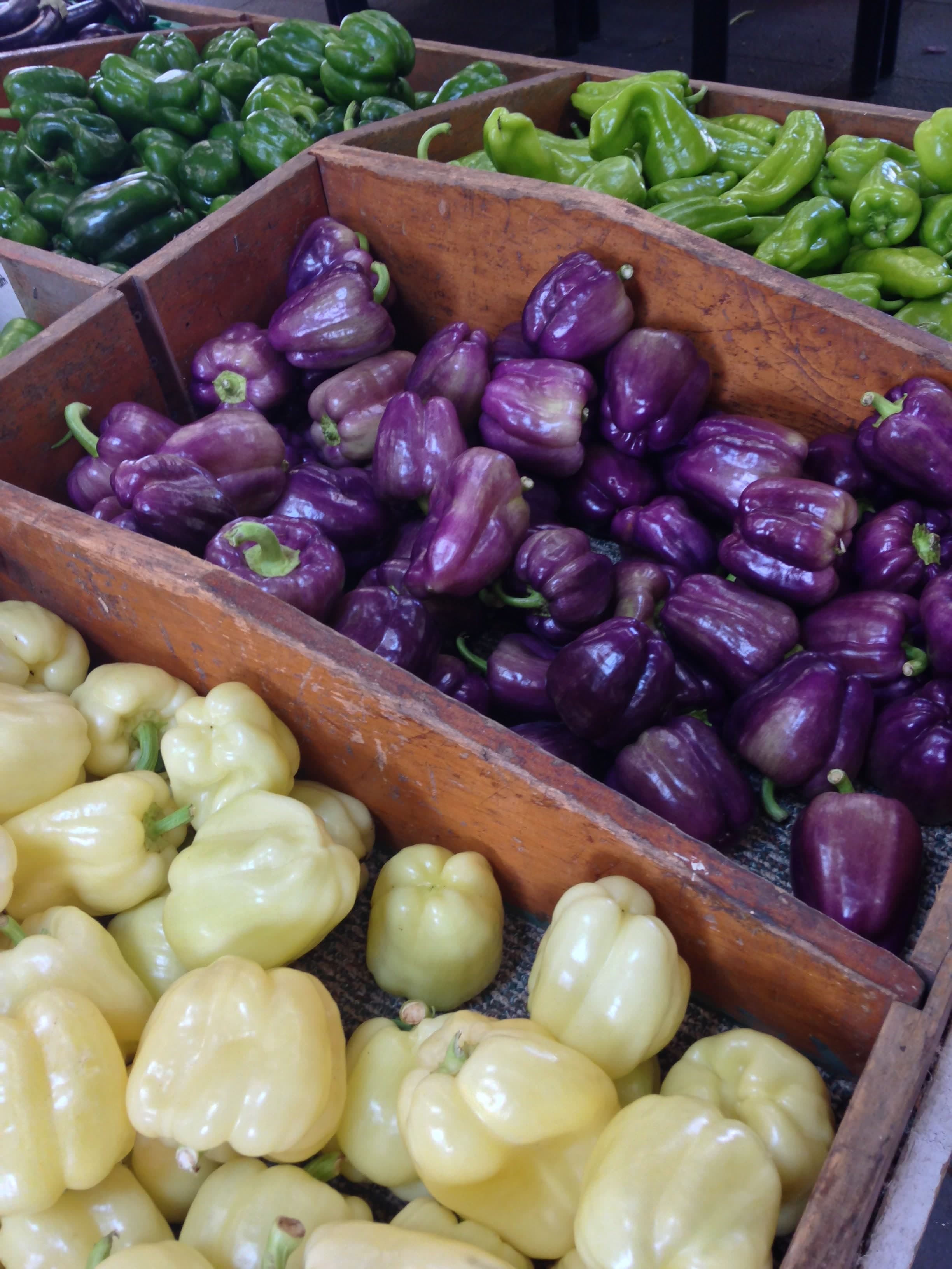 Scott's Yankee Farmer in East Lyme, Connecticut