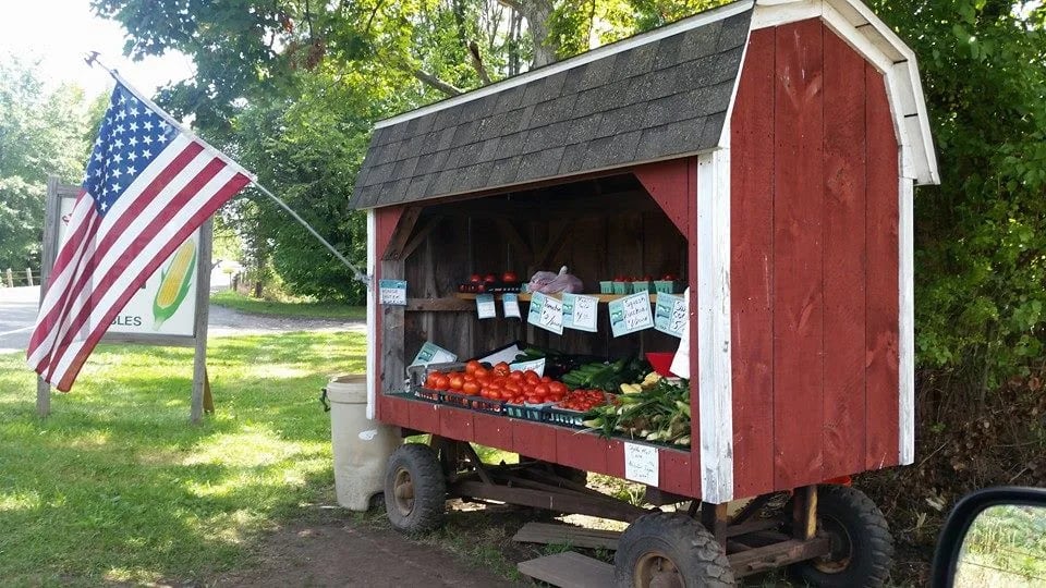Farm photography at Sheldon Mel Farm, West Suffield, Connecticut.
