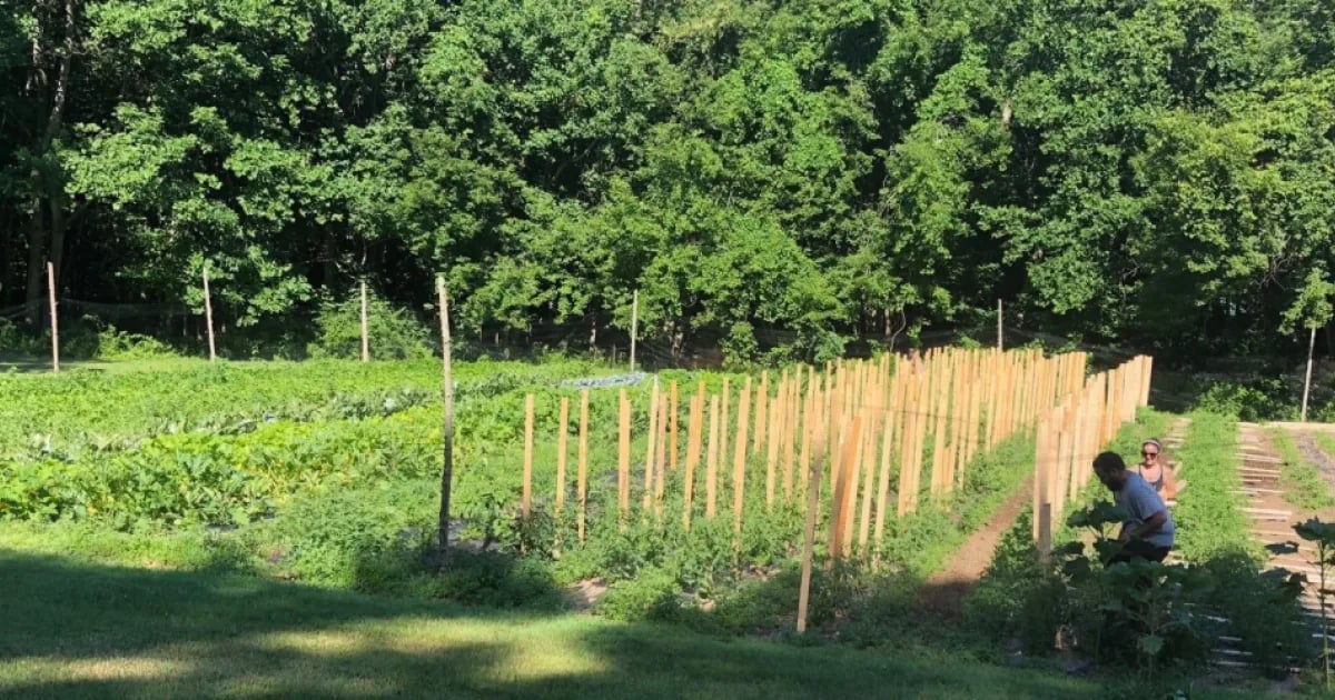 Farm photography at The Arc New London Garden & Farm Stand, Ledyard, Connecticut.