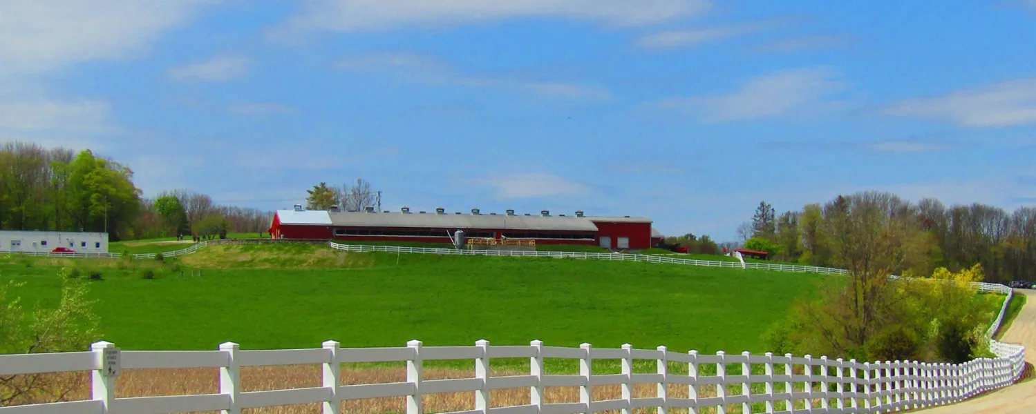 Farm photography at UConn Dairy Bar and Animal Barns, Storrs, Connecticut.