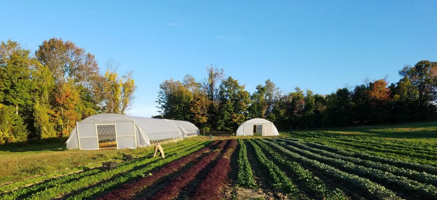Farm photography at Waldingfield Farm, Washington, Connecticut.