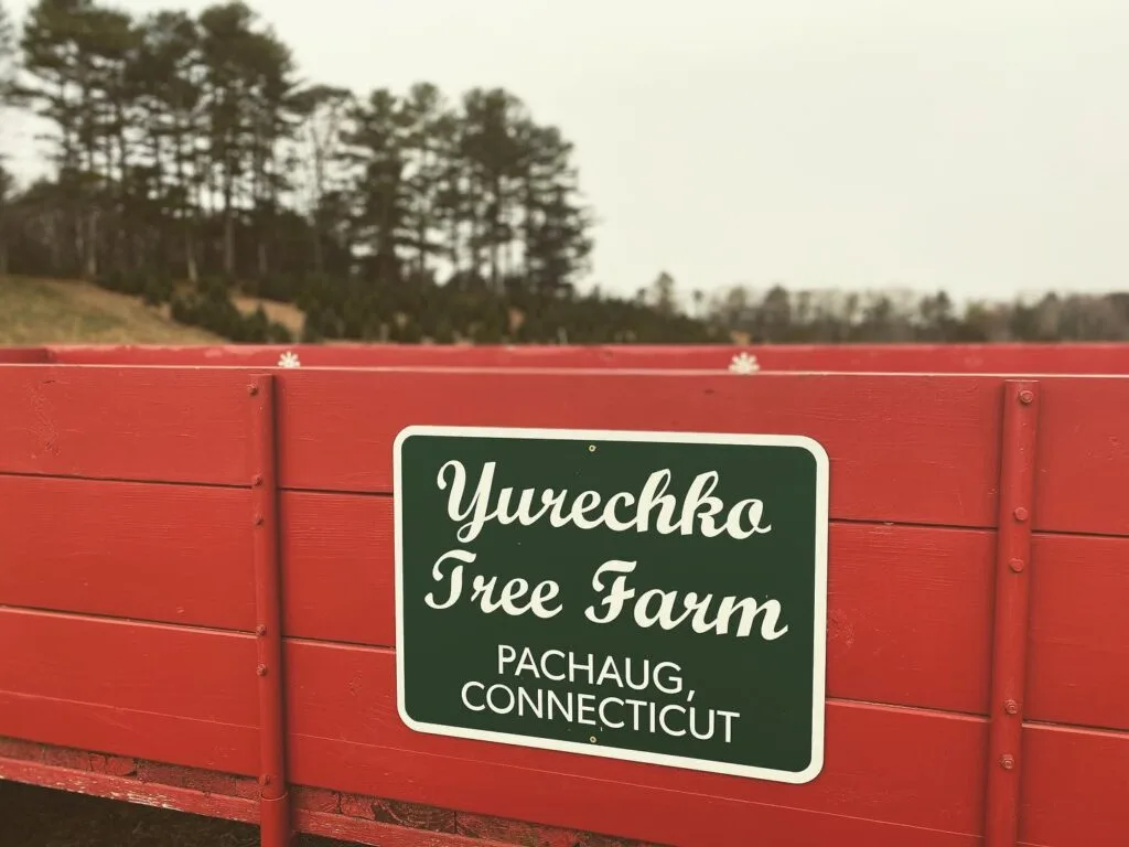 Farm photography at Yurechko Tree Farm, Griswold, Connecticut.