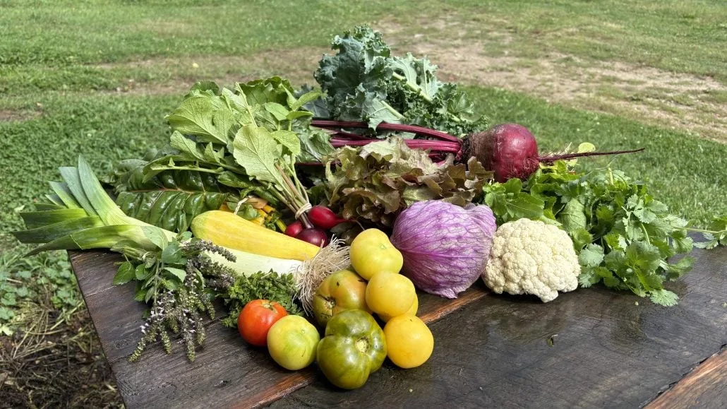 Farm photography at Many Hands Organic Farm, Barre, Massachusetts.