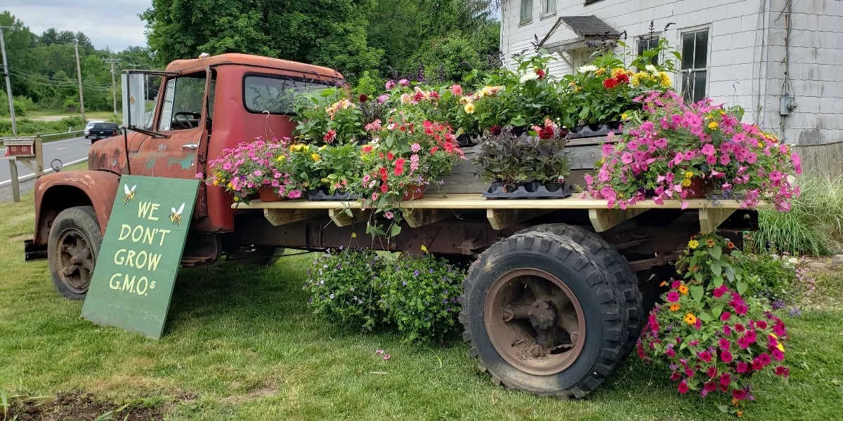 Farm photography at Blossoming Acres, Southwick, Massachusetts.