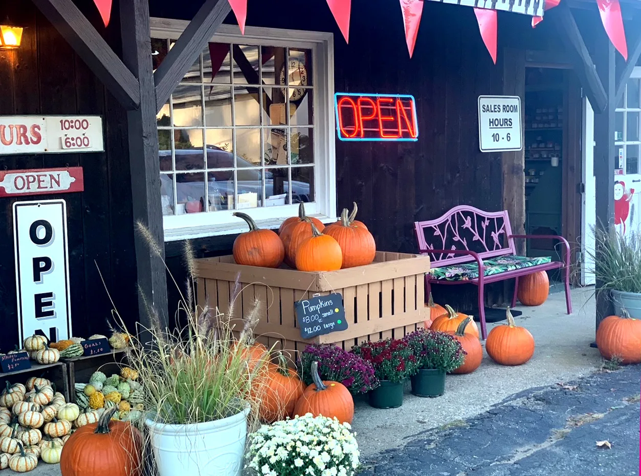 Farm photography at Breezelands Orchards, Warren, Massachusetts.