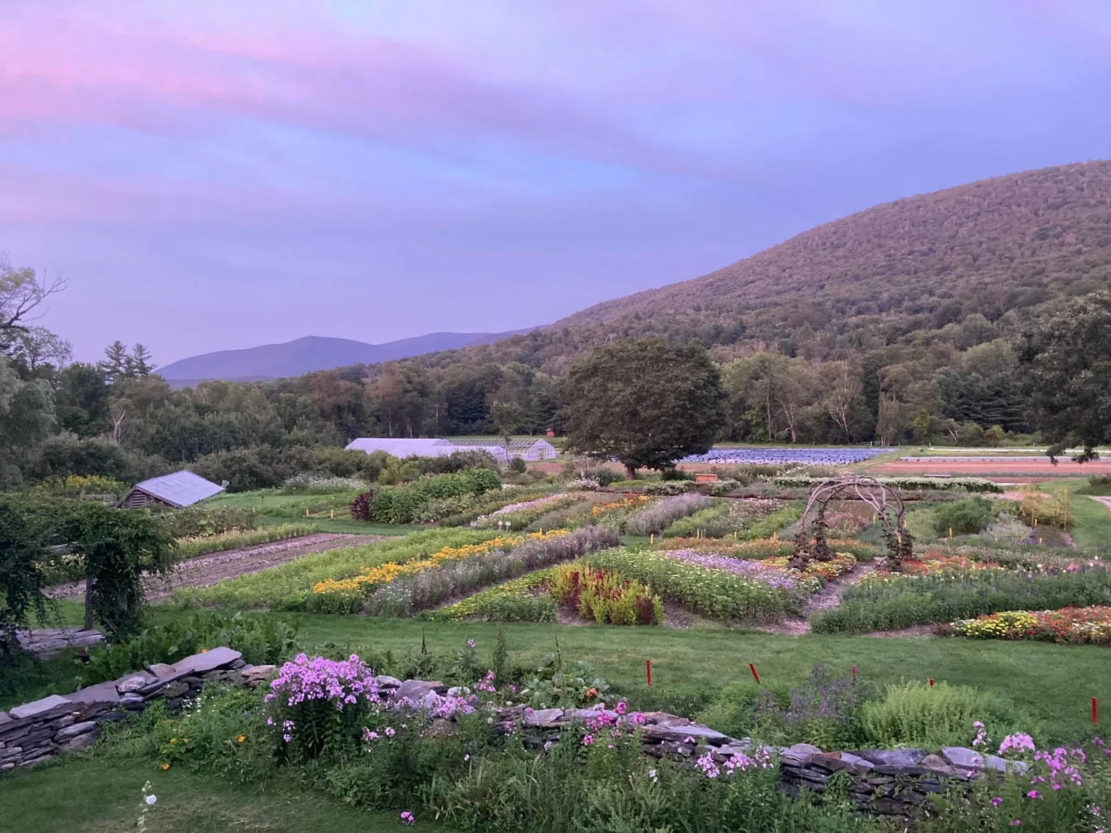 Farm photography at Caretaker Farm, Williamstown, Massachusetts.