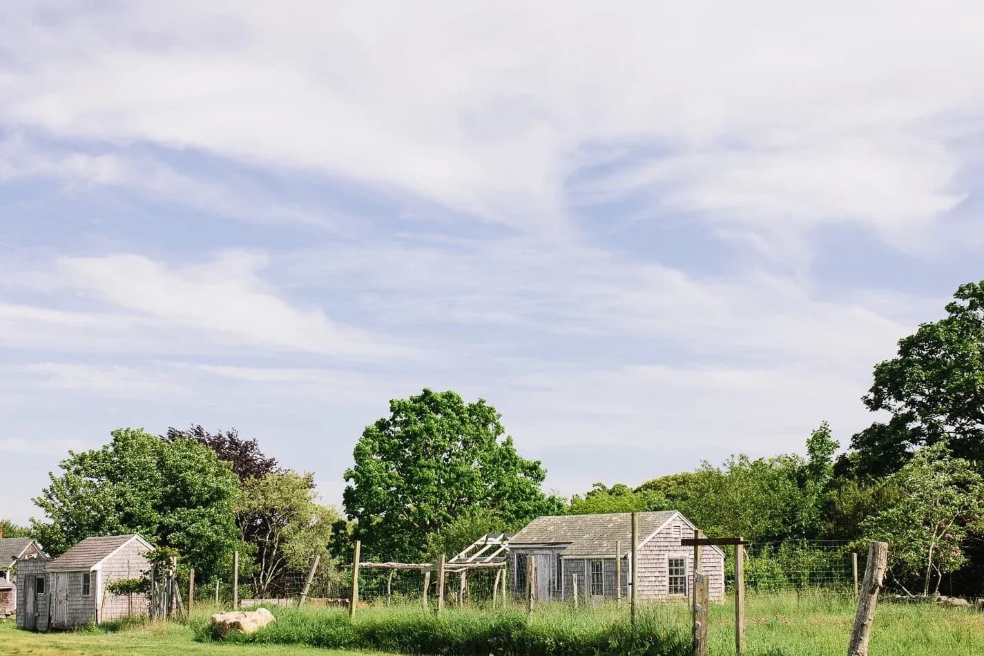Farm photography at Beetlebung Farm, Chilmark, Massachusetts.