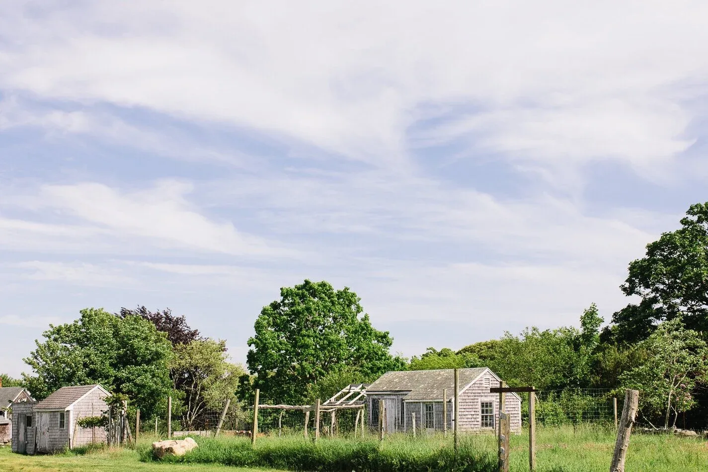Farm photography at Beetlebung Farm, Chilmark, Massachusetts.