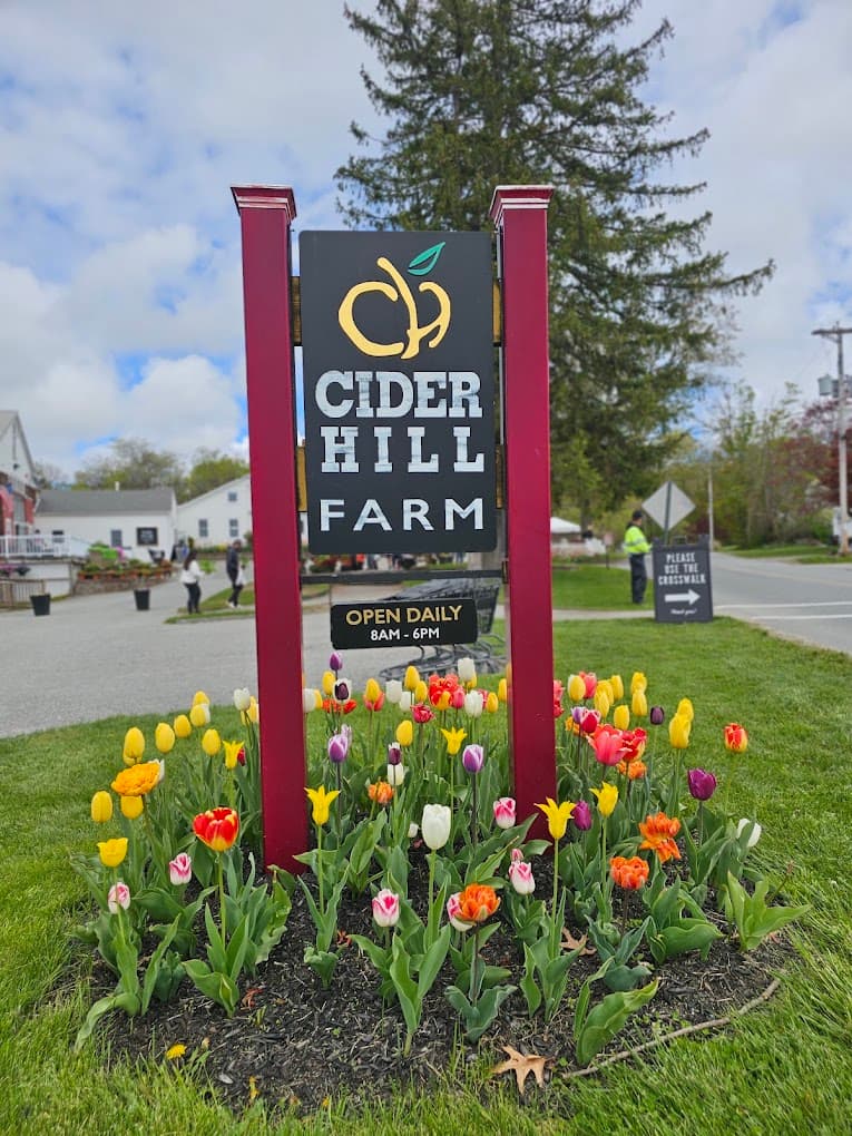 Cider Hill Farm entrance sign with tulips and open daily hours, Amesbury, Massachusetts.