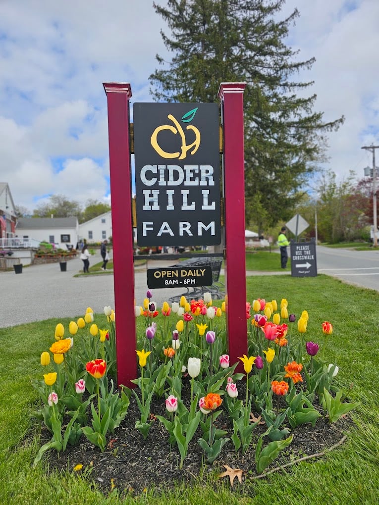 Cider Hill Farm entrance sign with tulips and open daily hours, Amesbury, Massachusetts.