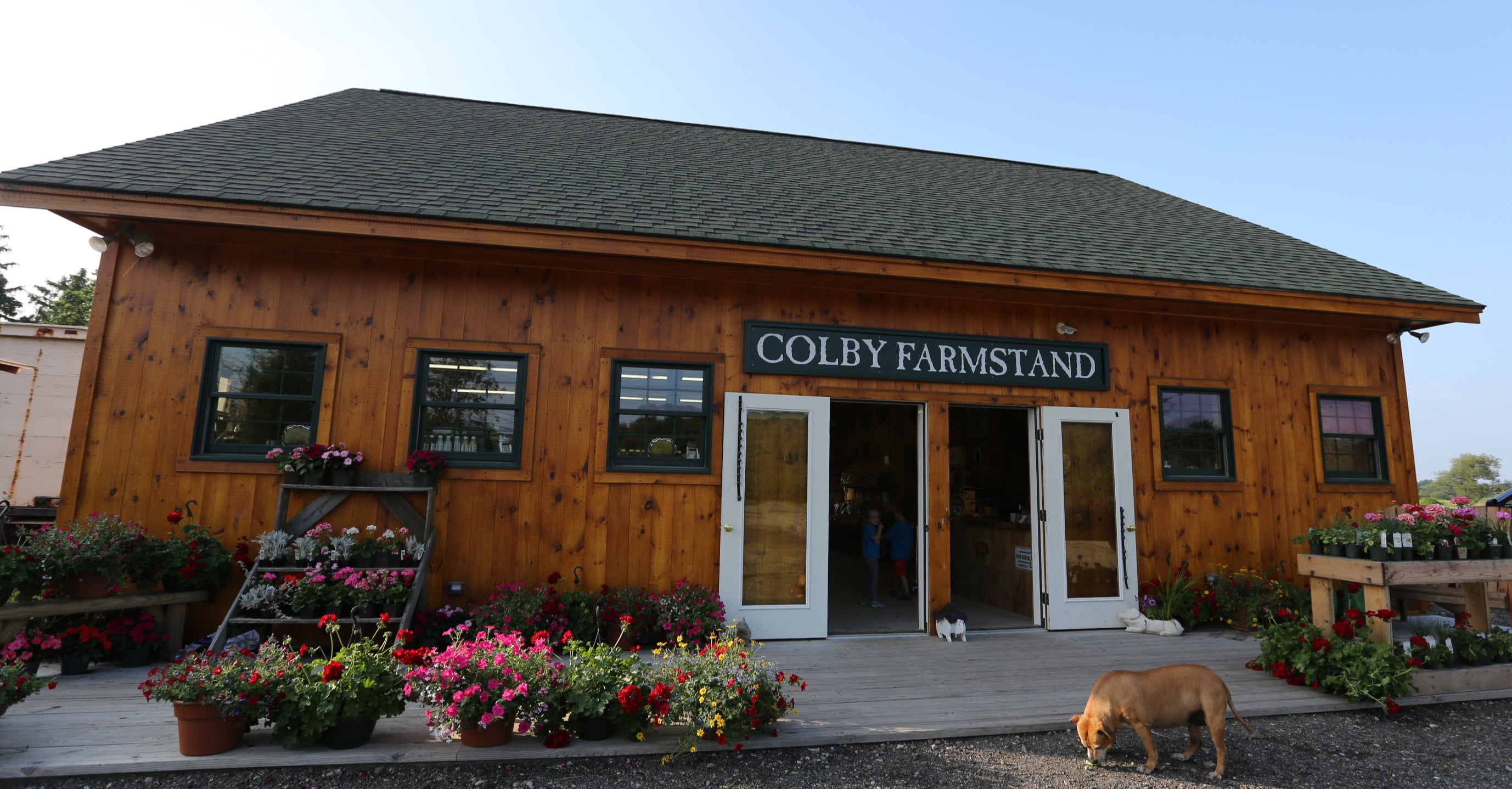 Farm photography at Colby Farm, Newbury, Massachusetts.