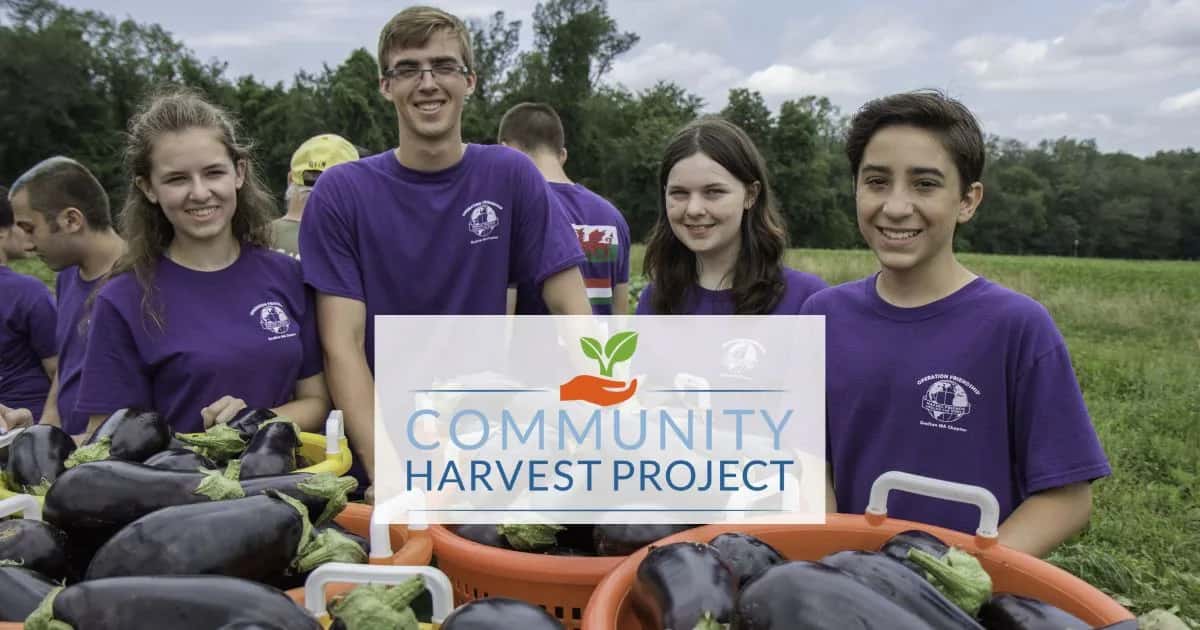 Farm photography at Community Harvest Project, North Grafton, Massachusetts.