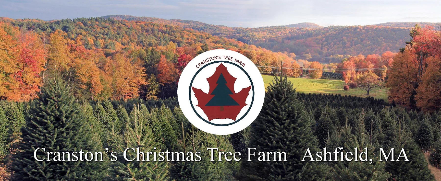 Farm photography at Cranston's Christmas Tree Farm, Ashfield, Massachusetts.