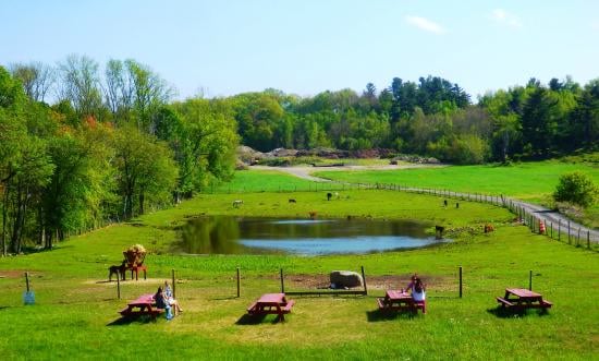 Farm photography at Crescent Farms, Haverhill, Massachusetts.