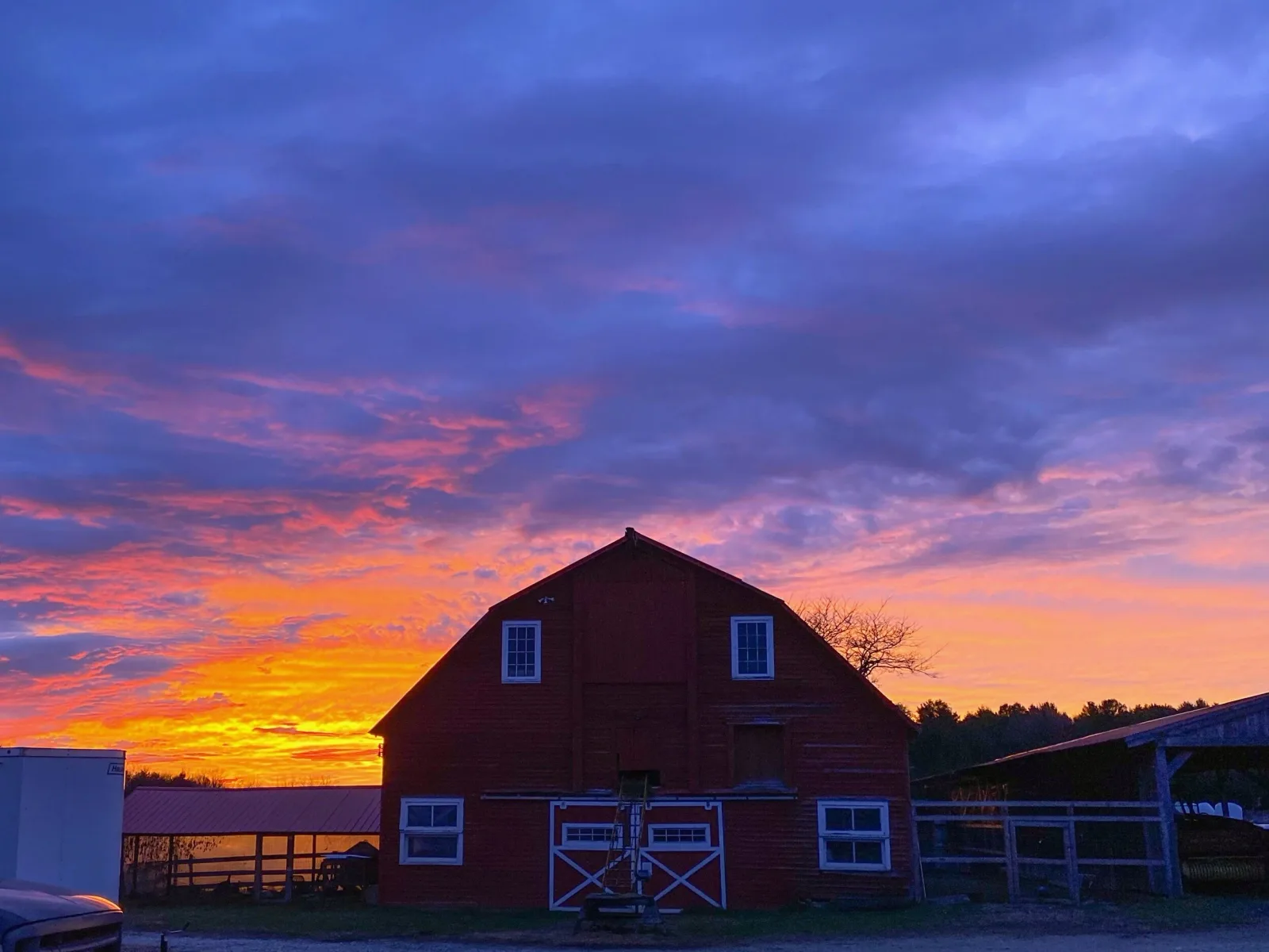 Farm photography at Holiday Brook Farm, Dalton, Massachusetts.