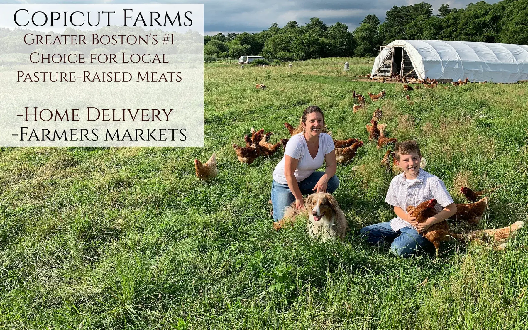 Farm photography at Copicut Farms, Dartmouth, Massachusetts.