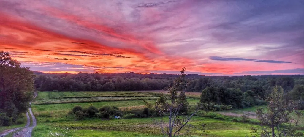 Farm photography at Dave’s Natural Garden, Granby, Massachusetts.